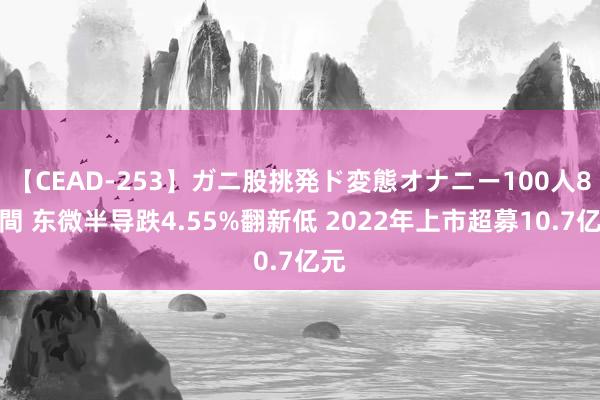 【CEAD-253】ガニ股挑発ド変態オナニー100人8時間 东微半导跌4.55%翻新低 2022年上市超募10.7亿元