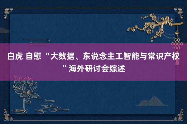 白虎 自慰 “大数据、东说念主工智能与常识产权”海外研讨会综述