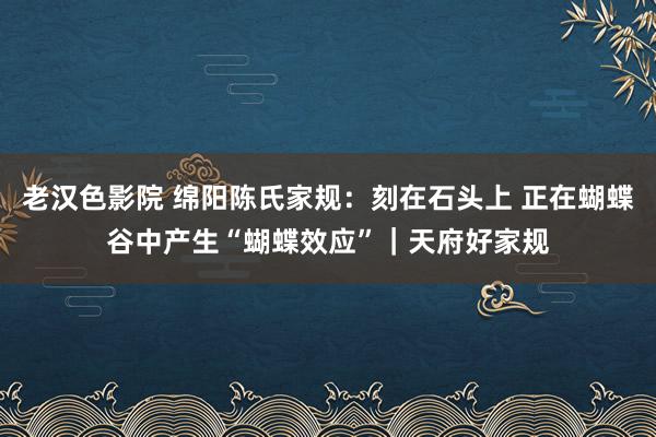 老汉色影院 绵阳陈氏家规：刻在石头上 正在蝴蝶谷中产生“蝴蝶效应”｜天府好家规