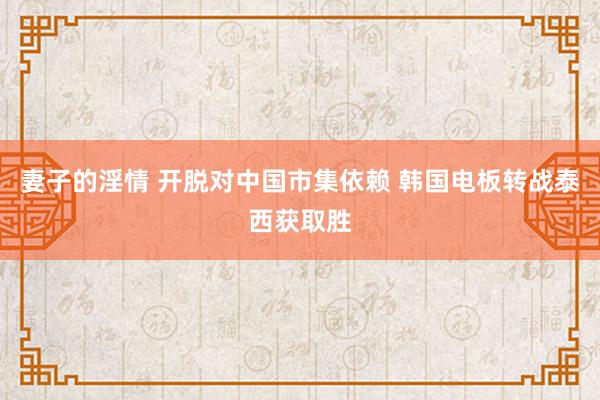 妻子的淫情 开脱对中国市集依赖 韩国电板转战泰西获取胜