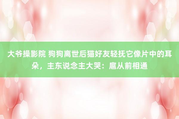 大爷操影院 狗狗离世后猫好友轻抚它像片中的耳朵，主东说念主大哭：扈从前相通