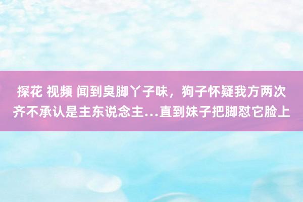 探花 视频 闻到臭脚丫子味，狗子怀疑我方两次齐不承认是主东说念主…直到妹子把脚怼它脸上