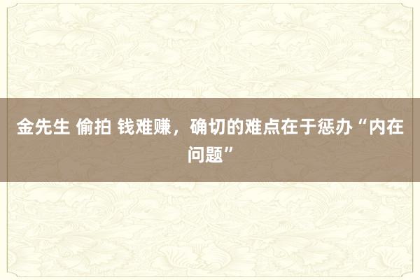金先生 偷拍 钱难赚，确切的难点在于惩办“内在问题”