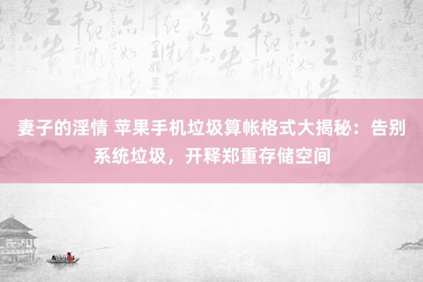 妻子的淫情 苹果手机垃圾算帐格式大揭秘：告别系统垃圾，开释郑重存储空间
