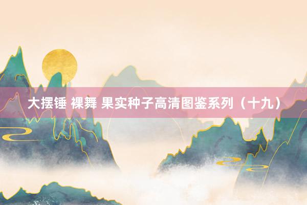 大摆锤 裸舞 果实种子高清图鉴系列（十九）